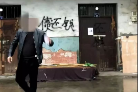 任县债务清欠服务